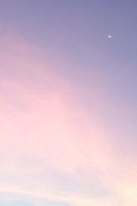 汉诺威艰难逼平柏林赫塔，主场最终保住分