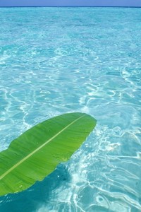 欧冠淘汰赛精彩纷呈，劲敌对决引关注