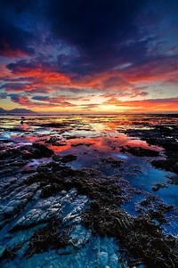 深圳佳兆业双线作战，表现抢眼