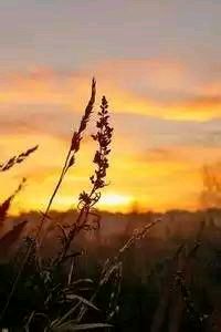 热刺击败对手，领先对手一步