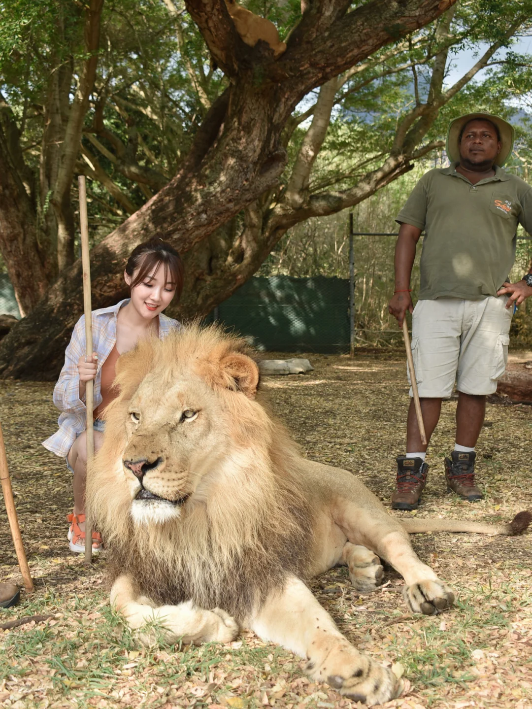 B体育体育亚洲官网-毛里求斯在欧洲杯资格赛中迎来惊艳表现的简单介绍