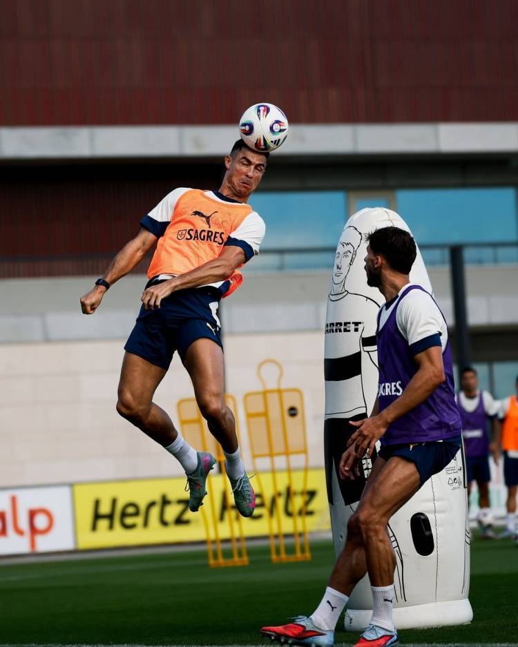 关于国家队备战世预赛,球员们展现出色状态的信息 关于国家队备战世预赛,球员们展现出色状态的信息