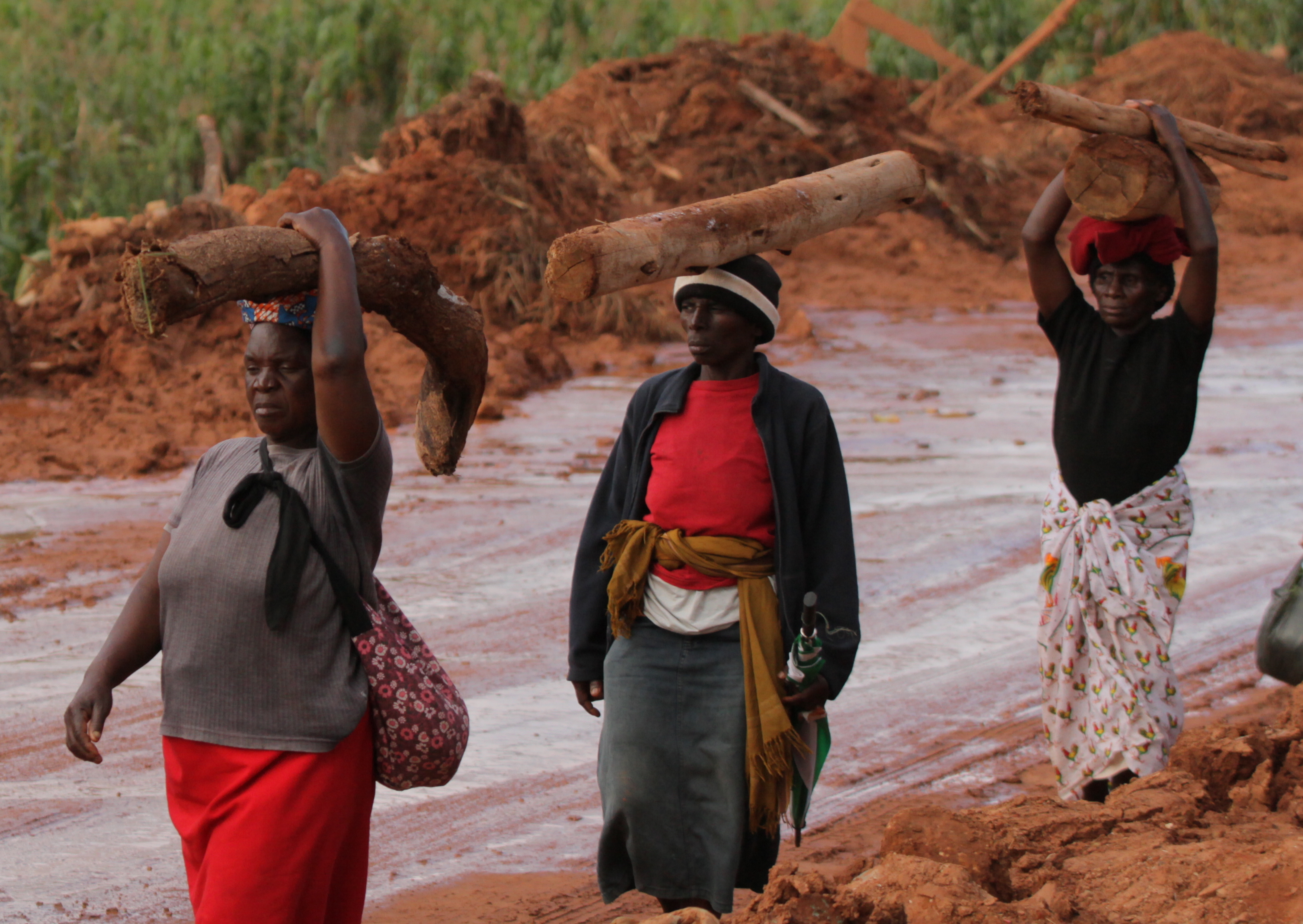 B体育体育网页版登录入口-津巴布韦跳水选手优雅登场，摘金