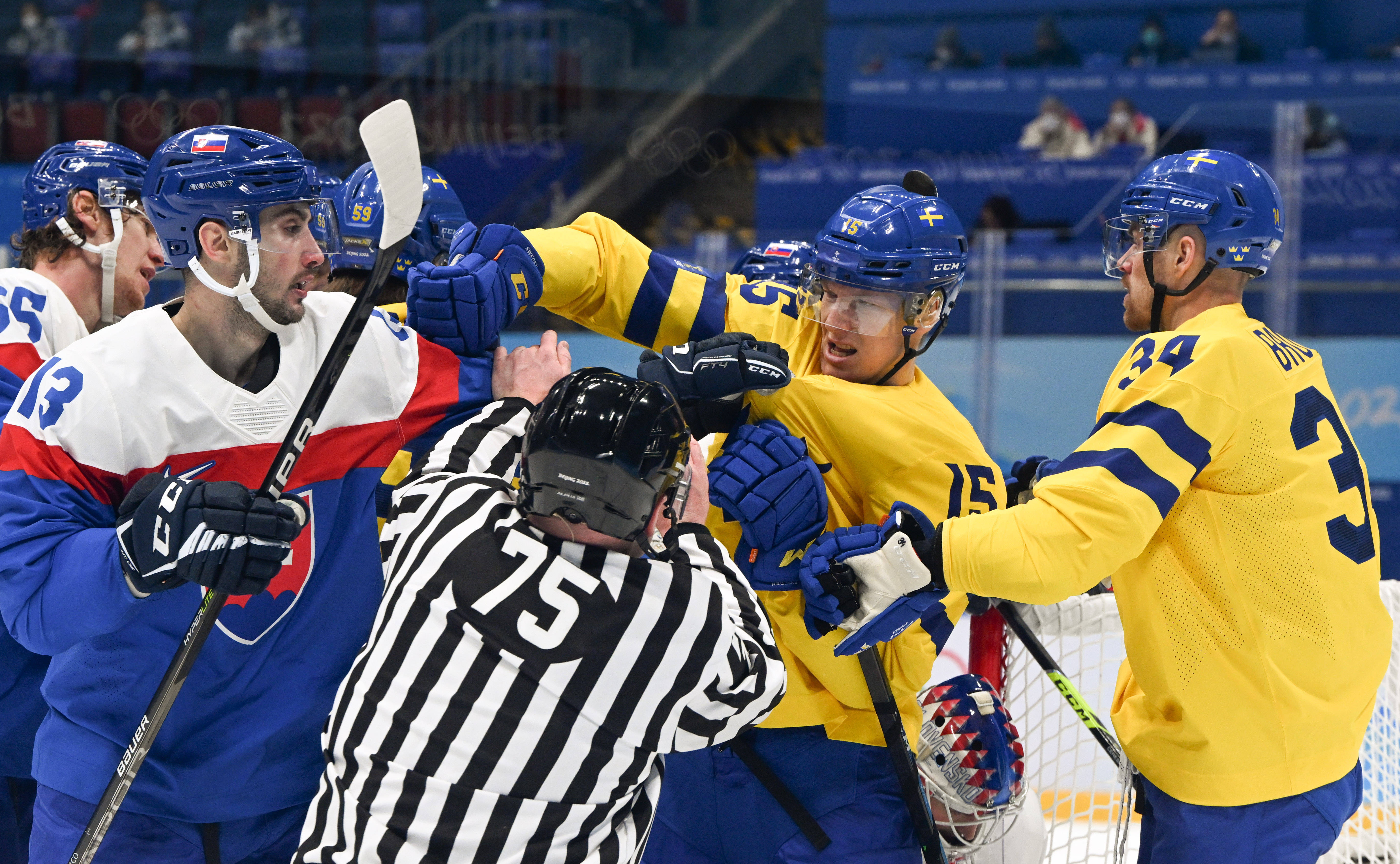 B体育体育网站-瑞典不敌斯洛伐克，遗憾告负的简单介绍